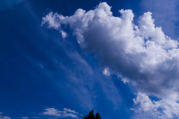 Wall Mural - beautiful clouds on the bright blue sky