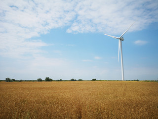 Windmills on one of the wheat fields of Ukraine. Energy saving concept