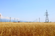 Gold wheat field and blue sky. High voltage electric transmission pylon silhouette tower.	