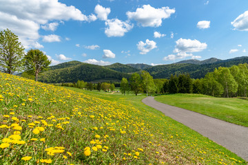 Blue sky and white clouds over rural field in a beautiful sunny day in spring time, pathway with small chrysanthemum flower, countryside view with mountains in the background