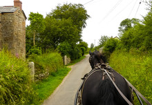 Viewpoint From On Top Of A Horse Drawn Cart Looking Over The Pony As It Walks Down An Empty Country Lane. Cottage And Hedgerows. Landscape Image With Space For Copy. Cornwall, England.