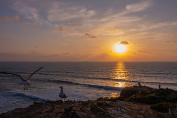 Wall Mural - rota vicentina, paesaggio marino al tramonto