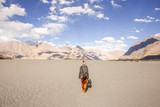 Fototapeta Dmuchawce - A woman traveler walking through a high alltitude desert in Nubra Valley, Ladakh, India. Great mountains and blue sky in the background. Model photographed from behind.