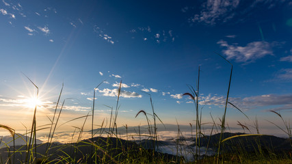 Wall Mural - landscape nature view at morning on the mountain fog chiang rai Thailand