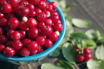 Fresh juicy cowberry in a blue bowl on a wooden surface, soft focus