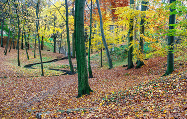 Poster - city park in autumn day