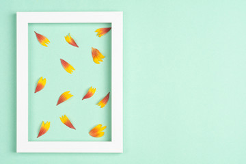 Wall Mural - Orange petals, photo frame on a mint background. Top view, copy space. Flat lay