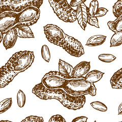 Wall Mural - Peanut sketch illustration. Hand drawn beautiful set of groundnut.