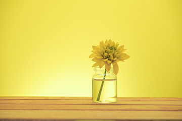 Beautiful yellow flowers on a old red wooden table, yellow background.