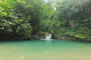 ton dang fa,in the forest tropical zone ,national park takua pa phang nga thailand