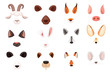 © Alfmaler - Animal face elements set cartoon flat design ears and noses vector illustration isolated on white background