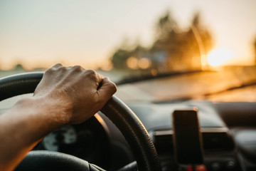 Wall Mural - Concept of driving a car. The hands of the driver on the steering wheel on a sunny day.