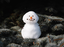 Close Up Of Small Snowman Sitting On The Branches Of Evergreen Tree.