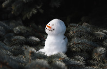 Small Snowman Sitting On The Branches Of An Evergreen Tree.