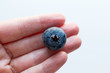 © Cavan Images - Close-up of Single Blueberry in a hand