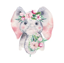 A Poster With A Baby Elephant. Watercolor Cartoon Elephant Tropical Animal Illustration. Jungle Exotic Summer Print.