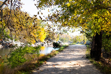 Empty trail path during autumn Potomac river in Great Falls, Maryland with colorful foliage and fallen leaves on road by canal