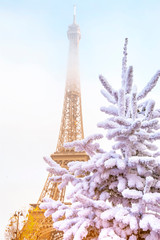 Canvas Print - Eiffel Tower is the main attraction of Paris on the background of  frosty Christmas trees covered by snow in winter. Travel Greeting Card from Paris with love, France