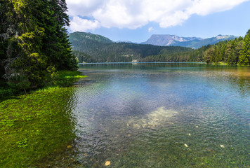 Montenegro, Black Lake in a Durmitor Park