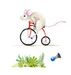 Cute little mouse riding a bike watercolor illustration. Hand drawn watercolour art set of a rat, green bushes and blue horn, isolated on white background. Perfect for greeting cards, trendy prints. 