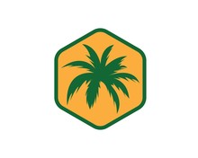 Palm Tree Icon Of Summer And Travel Logo Vector Illustration