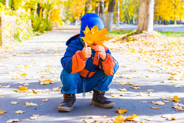 Wall Mural - boy holds a maple leaf for a walk. mellow autumn.