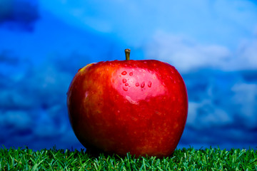 Apple on green grass and with blue sky background