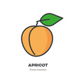 Apricot icon, filled outline style vector