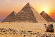 Three main Pyramids of Giza and a camel at sunset, Egypt