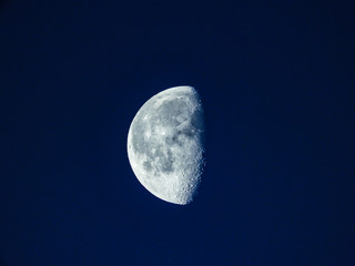 Wall Mural - half moon