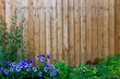 Wooden fence wall in a frame of green and purple flowers