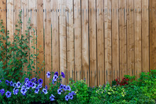 Wooden Fence Wall In A Frame Of Green And Purple Flowers
