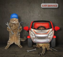 The two cats auto mechanic are fixing a red car in the garage.