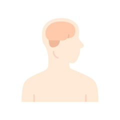 Sticker - Healthy brain flat design long shadow color icon. Human organ in good health. Functioning nervous system. Internal body part in good shape. Wholesome mental health. Vector silhouette illustration