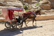 Kutsche in Felsenstadt Petra in Jordanien