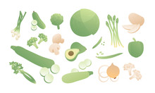 Vector Color Green Vegetables Set. Modern Style Flat Coloful Illustration Vegetable With Slices Isolated On White Background. Design Elements For Banner, Poster, Web, Vegeterian, Summer, Menu, Vitamin