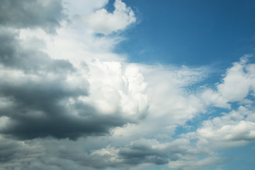 Wall Mural - white curly clouds in a blue sky. sky background