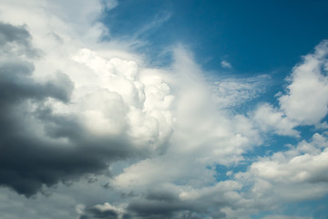 Wall Mural - white curly clouds in a blue sky. sky background