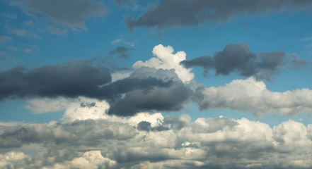 Wall Mural - white curly clouds mixed with dark clouds against the blue sky