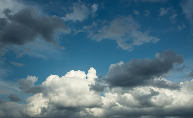 Wall Mural - white curly clouds mixed with dark clouds against the blue sky