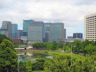 Canvas Print - the park in big city Tokyo