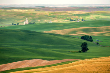  Beautiful Farmland Patterns Seen From Steptoe Butte, Washington. High above the Palouse Hills on the eastern edge of Washington, Steptoe Butte offers unparalleled views of a truly unique landscape.
