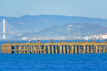 Wall Mural - San Francisco Fishing Dock