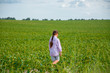 © QKon Studio - Little cute girl running across the soybean field, summer