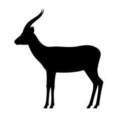 Wall Mural - Vector black silhouette antelope gazelle