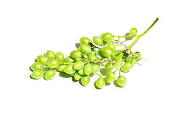 Bunch of green grapes isolated on white background,photo