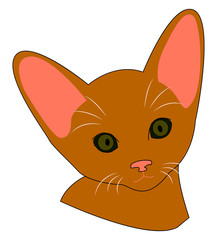 Poster - Brown kitty, illustration, vector on white background.