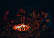 © qunica.com - Buddies by campfire relaxing in the night