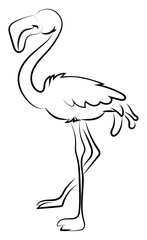 Canvas Print - Flamingo drawing, illustration, vector on white background.