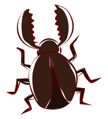 Poster - Brown beetle bug, illustration, vector on white background.